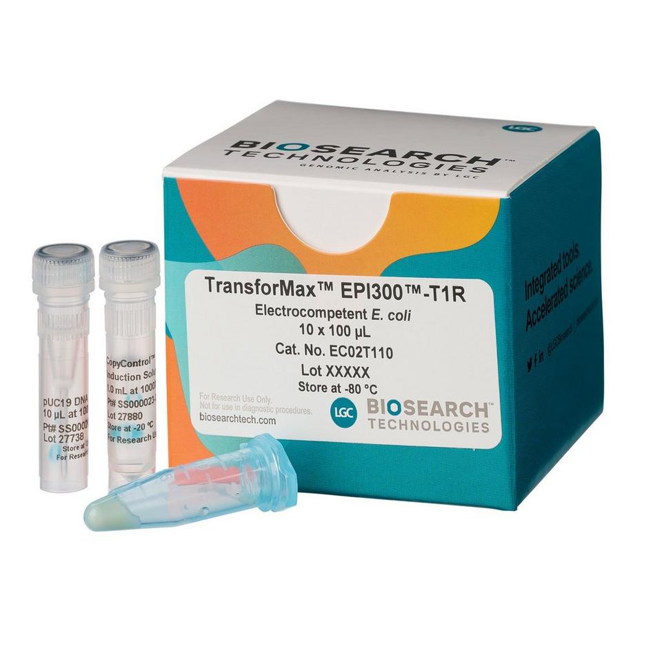 TransforMax EPI300-T1R Electrocompetent Cells